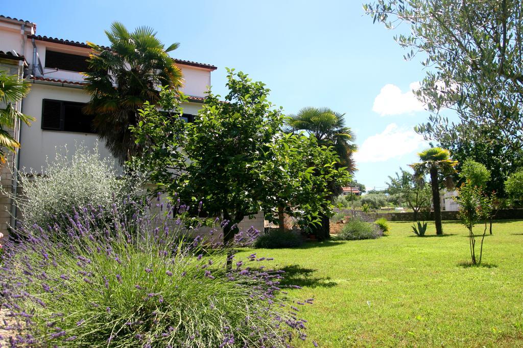 Korsa Apartment Sveti Lovreč Pazenatički Esterno foto