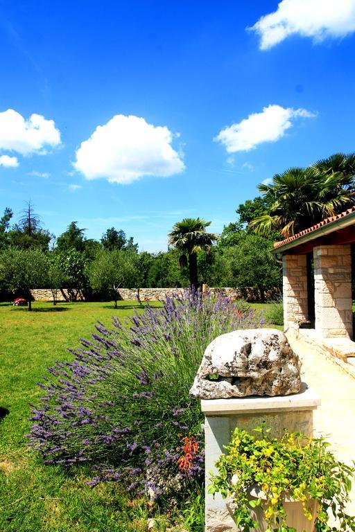 Korsa Apartment Sveti Lovreč Pazenatički Esterno foto